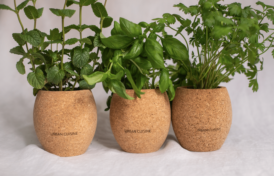 aquael led plant LED -Beleuchtung Leddy Slim Plant Aquael