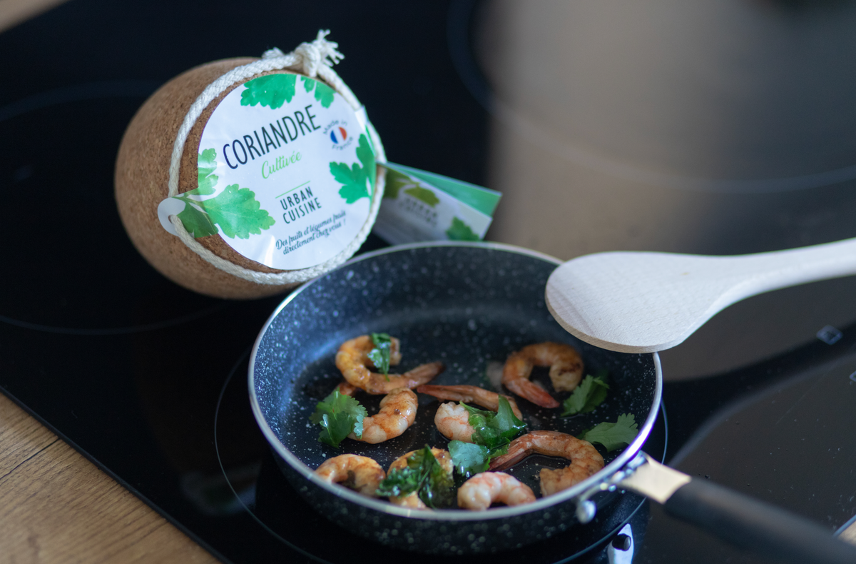 Crevettes à la Coriandre Cultivée