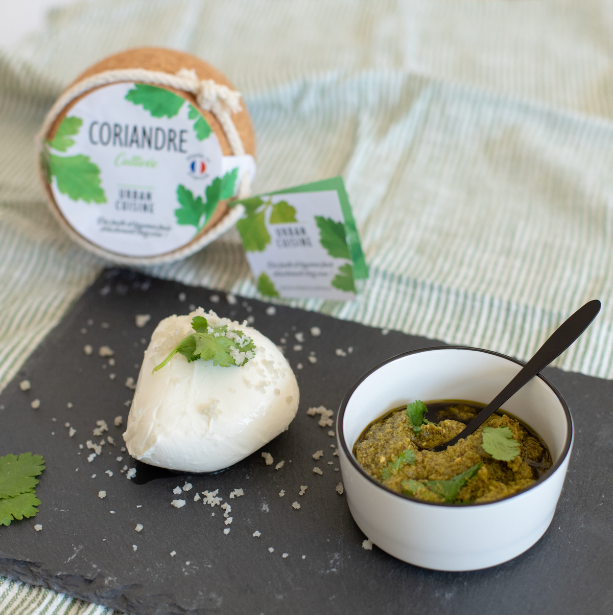 Pesto à la Coriandre Cultivée