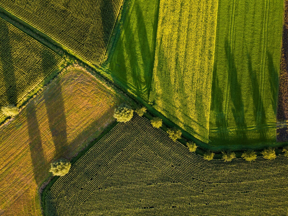 agriculture du futur