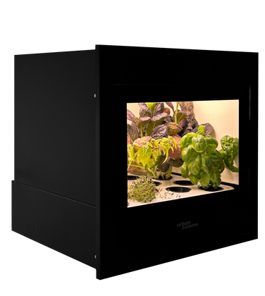 Amo, le potager cuisine