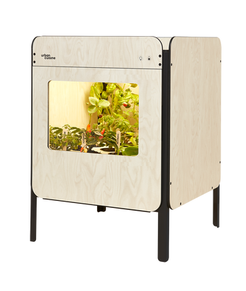 Liv, le potager salon