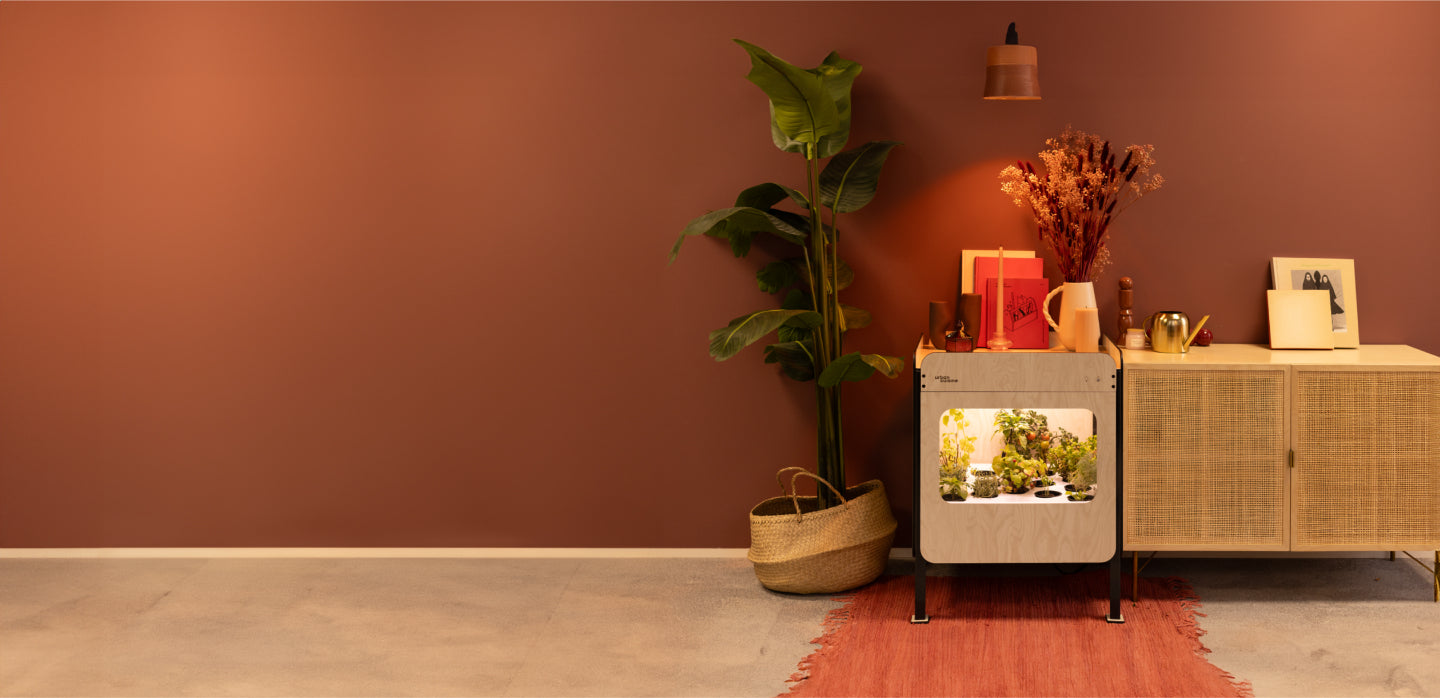 Your indoor vegetable garden with tasty and bountiful harvests