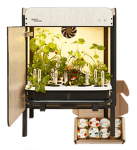 The indoor <br> vegetable garden